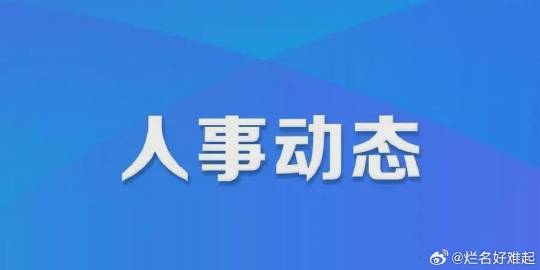 河南省委最新任免公告解读，深度分析与观点阐述