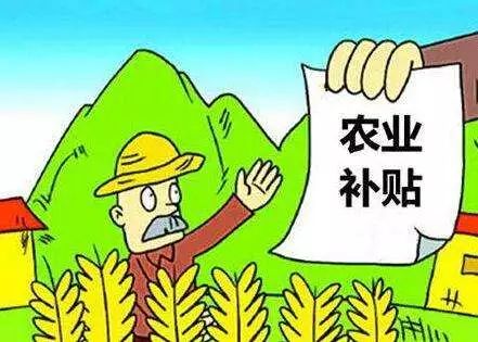 南方农村报漫画最新，获取与学习阅读漫画技能的指南