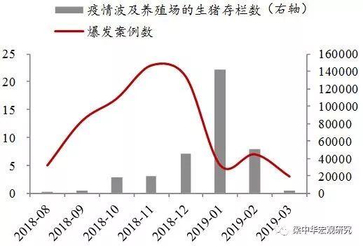 生猪行情走势深度解析与预测