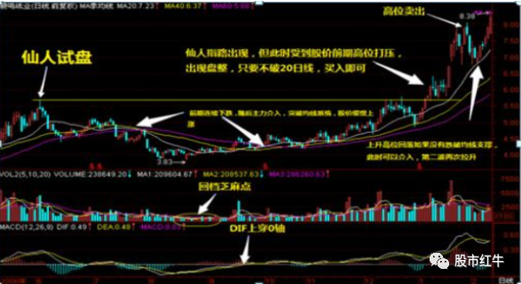 案例展示 第196页