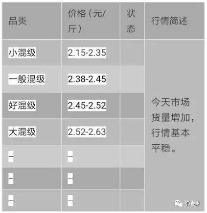 蒜苔价格最新行情，变化中的机遇与自我成长的励志之旅