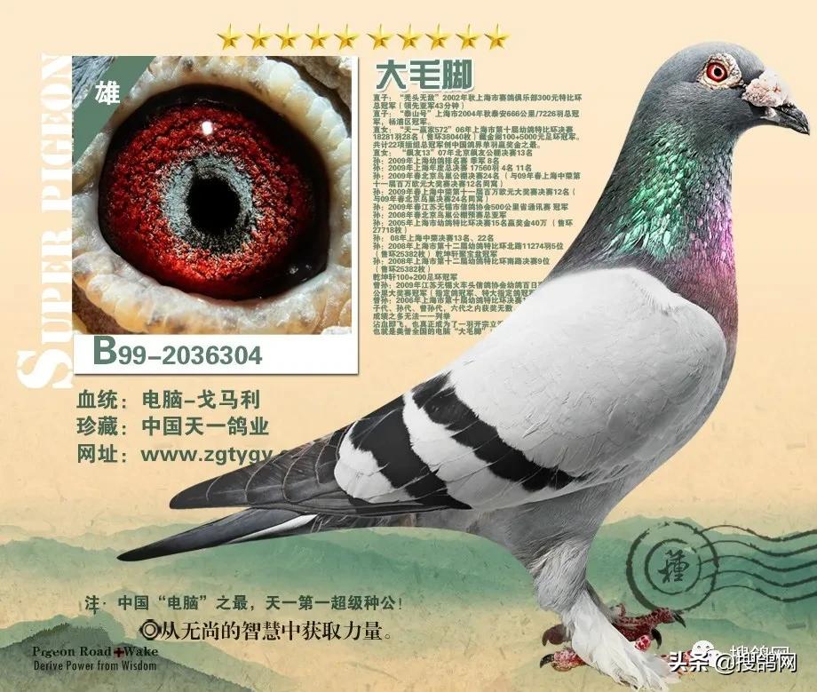第1251页