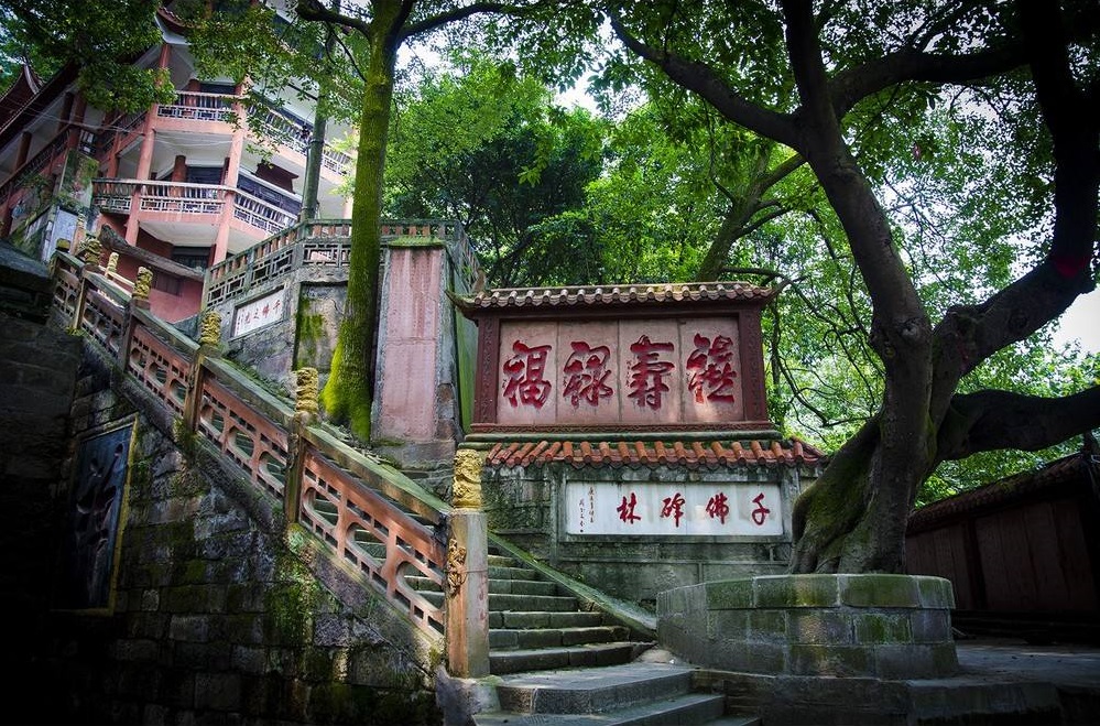 山亭欧亚城最新动态，自然美景之旅，探寻内心平和之所