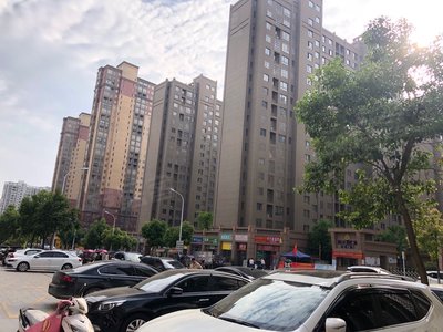 金色南郡最新动态，温馨日常的趣事与友情故事