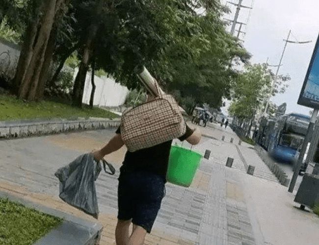 嵊州最新老赖名单背后的社会现象深度解析与观点分享