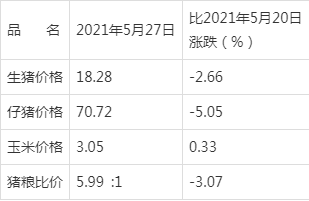 碣石新闻最新动态，城市发展的脉搏与趋势分析