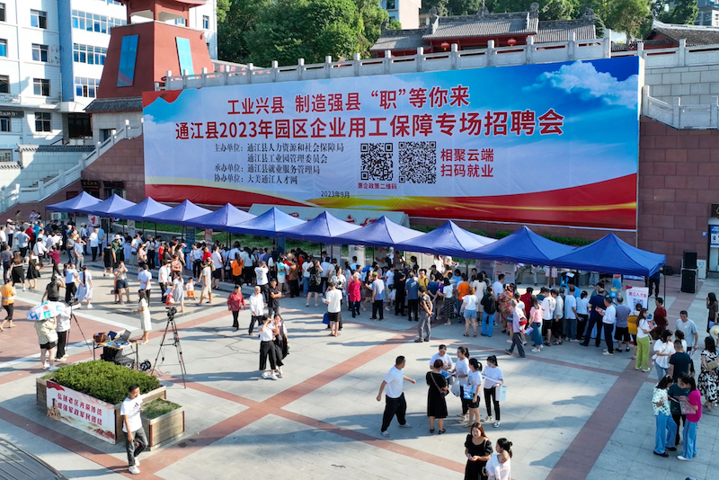 黎塘工业区最新招聘日常趣事概览