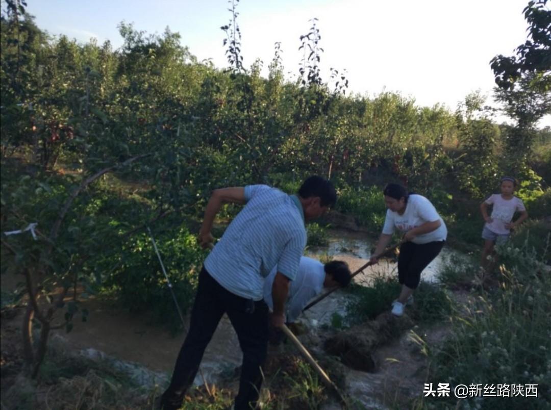 蒲城水务局最新任命及其背后的故事，小巷中的隐秘宝藏揭秘
