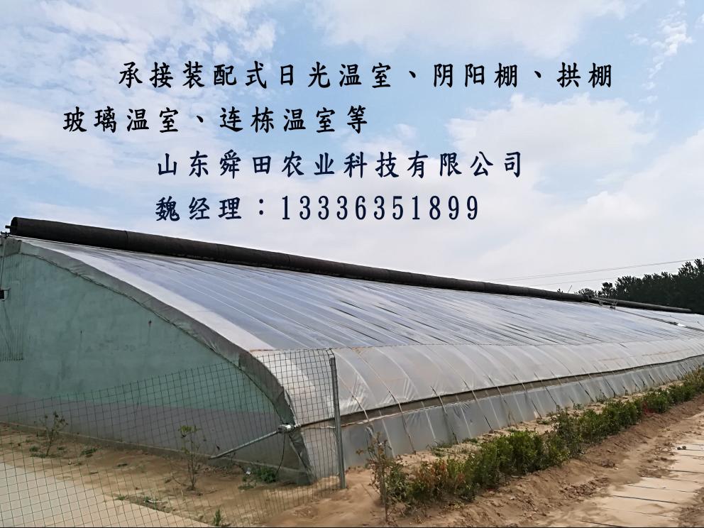 最新阴阳棚，学习变化的力量，塑造自信与成就感的源泉