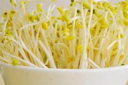 豆芽最新闻，全新高科技产品引领智能生活新潮流震撼登场