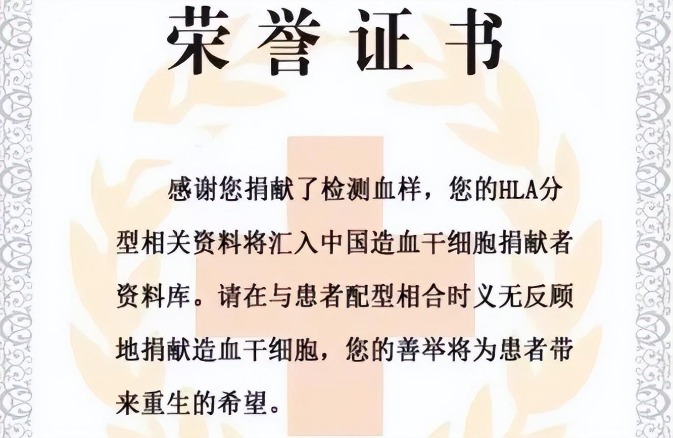 揭秘最新士官证，军人荣誉的象征🎖️